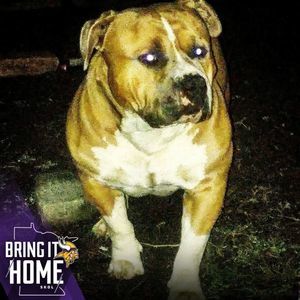 Meet your Posher, Katrina